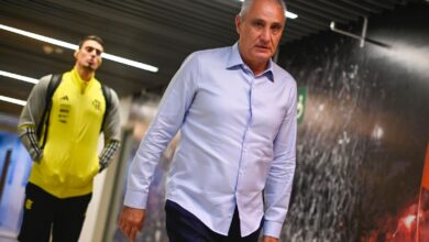 Tite está sem trabalho desde sua saída do Flamengo - Marcelo Cortes / Flamengo