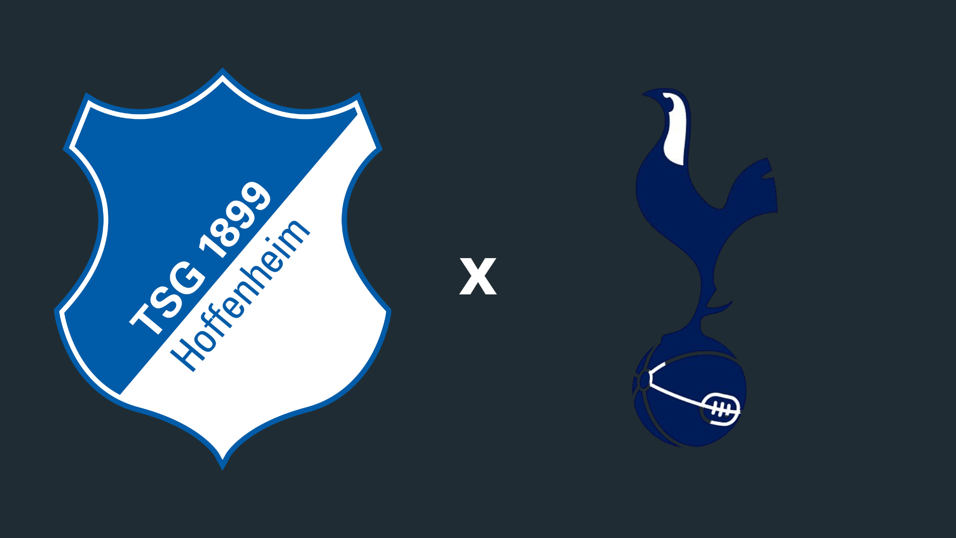 Hoffenheim x Tottenham onde assistir