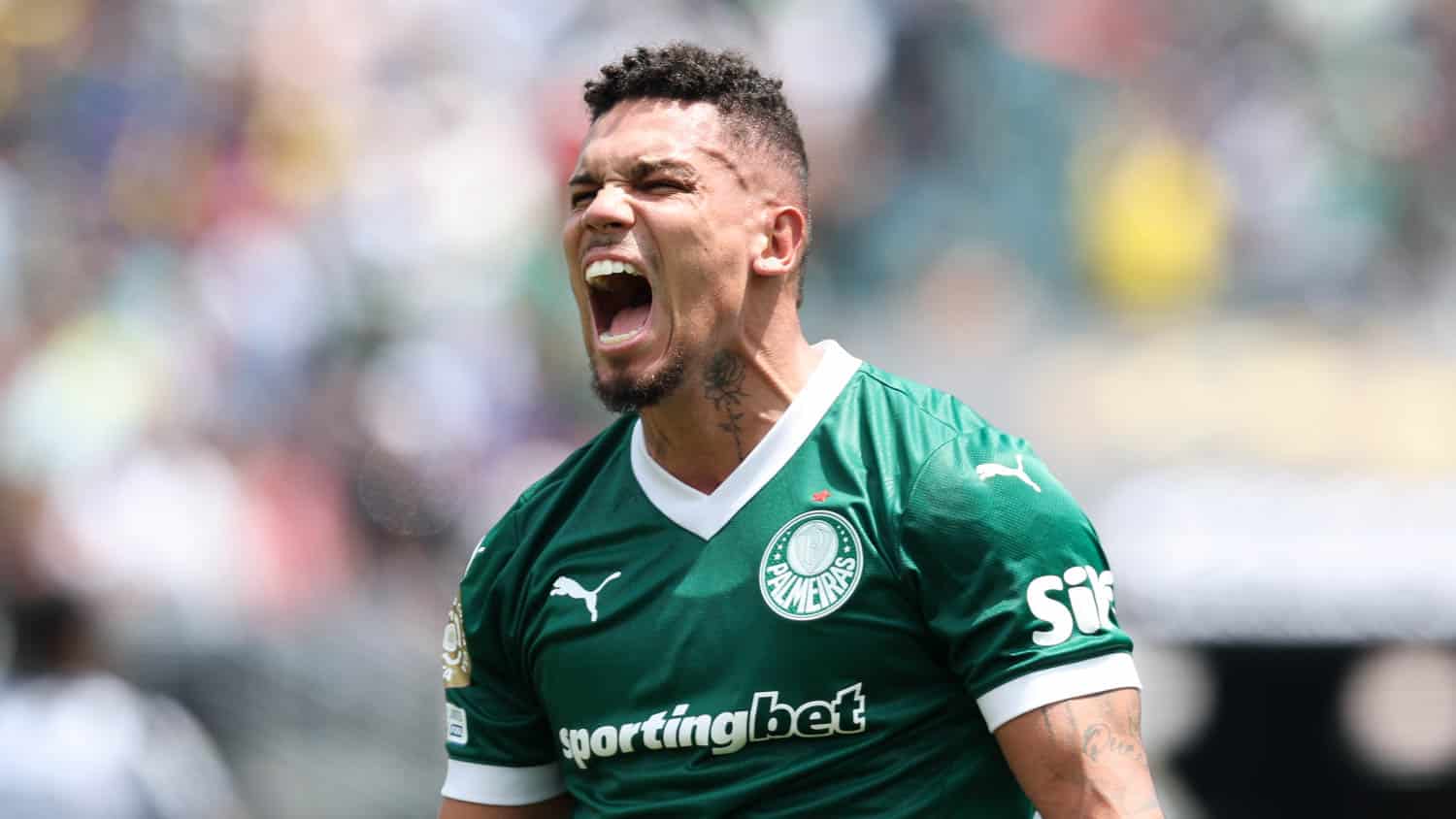 Paulinho grita comemornado