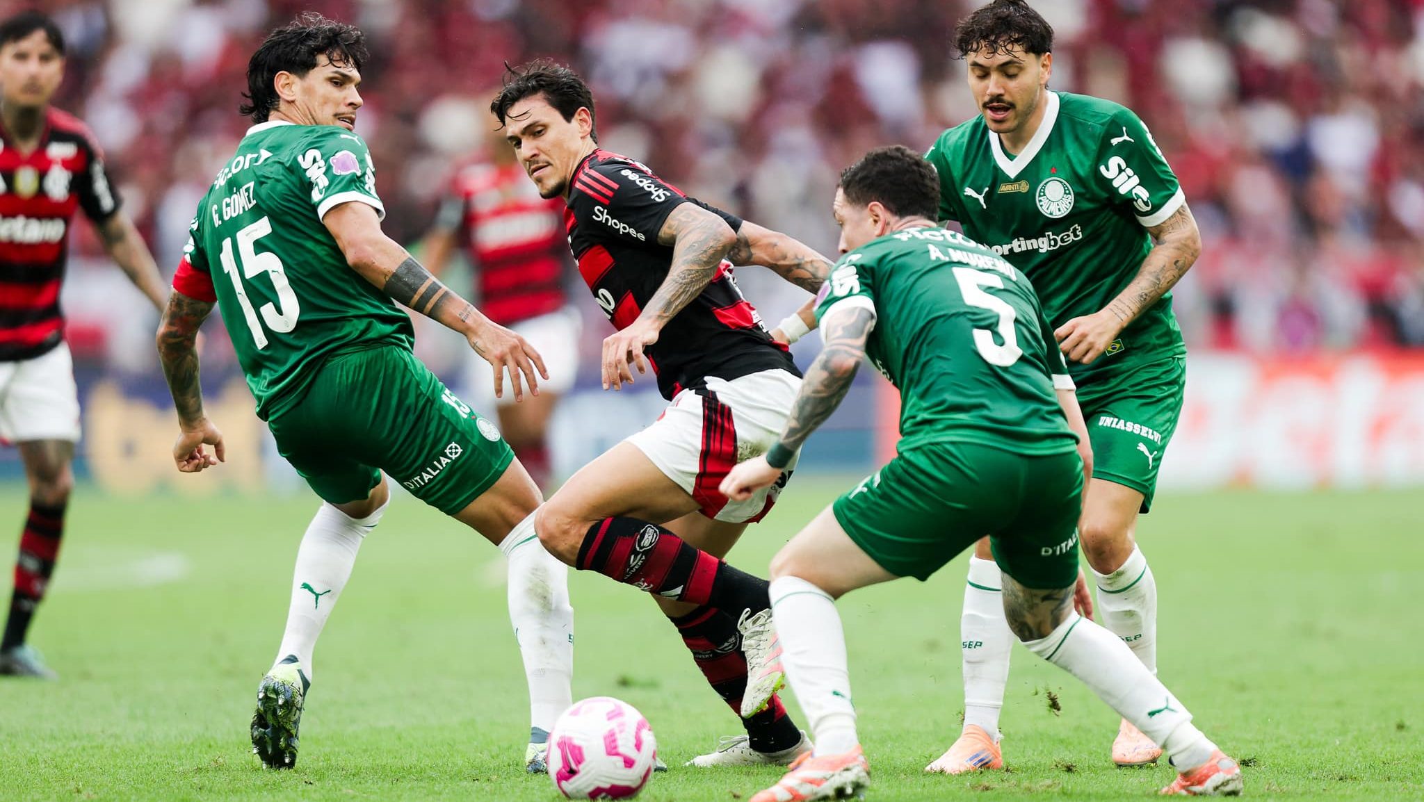 Flamengo x Palmeiras