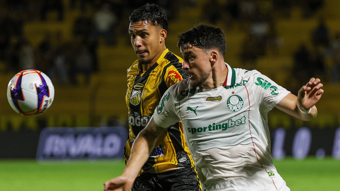 Novorizontino x Palmeiras