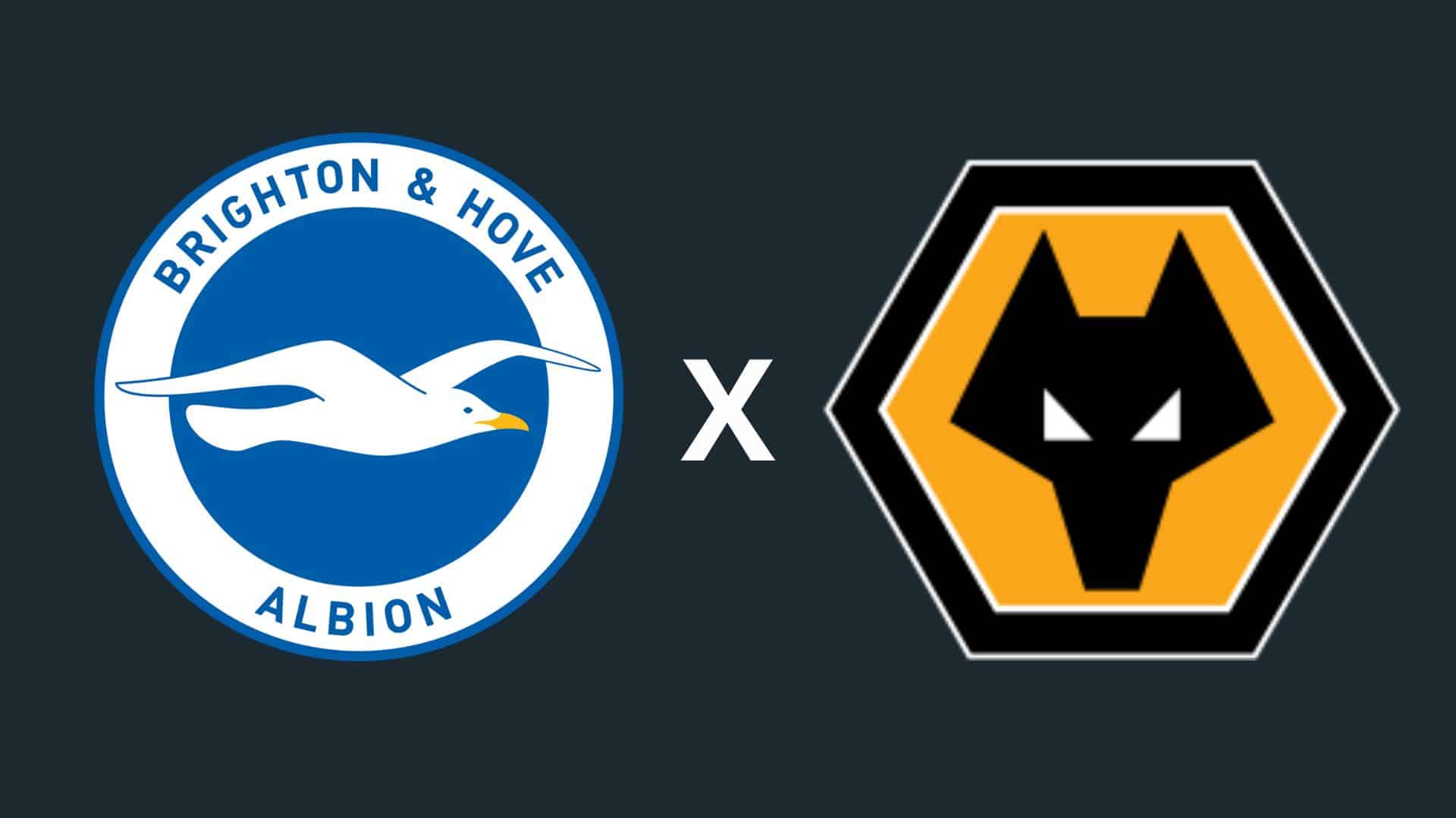Brighton x Wolverhampton