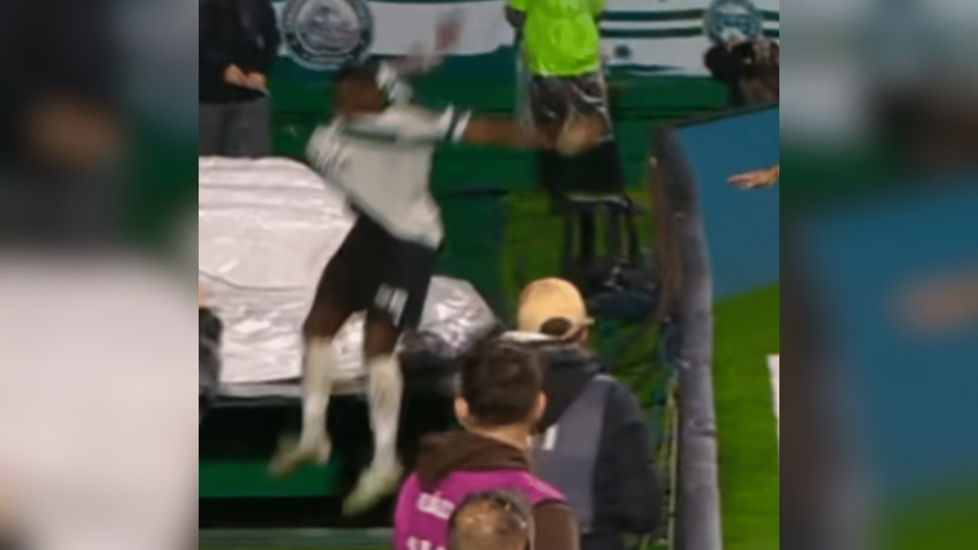 jacy coritiba