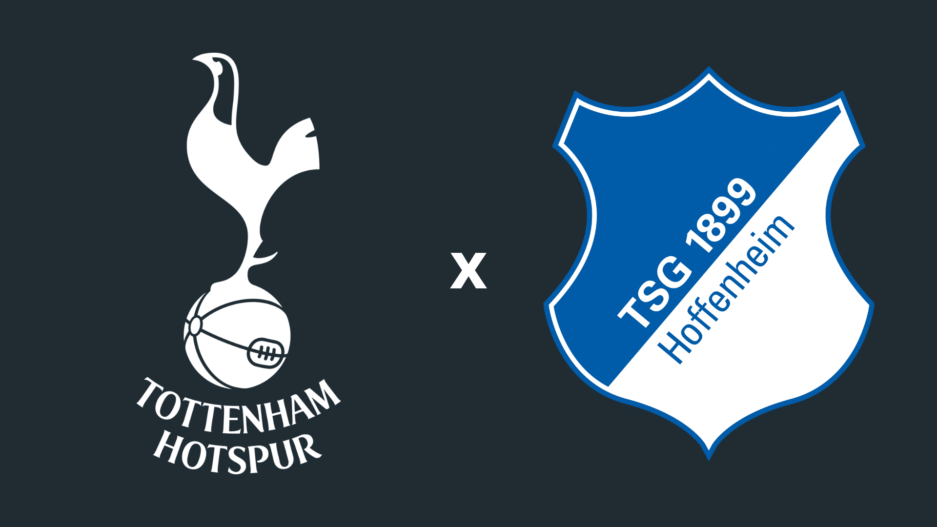 tottenham hoffenheim